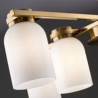 Freya Modern Kamelia Подвесной светильник цвет: латунь FR5446PL-06BS