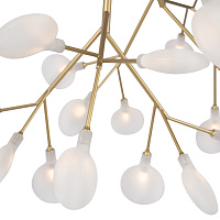 Freya Modern Florencia Потолочный светильник цвет: золото FR5049CL-36G