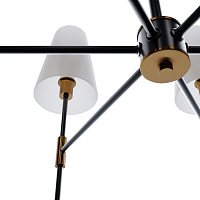 Freya Modern Tida Люстра цвет: черный и латунь FR5196PL-06BBS