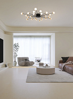 Freya Modern Celebrity Потолочный светильник цвет: черный FR5242CL-24B