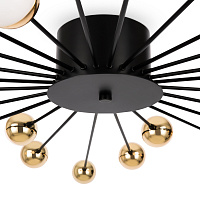 Freya Modern Celebrity Потолочный светильник цвет: черный FR5242CL-24B