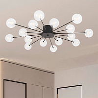 Freya Modern Celebrity Потолочный светильник цвет: черный FR5242CL-16B1