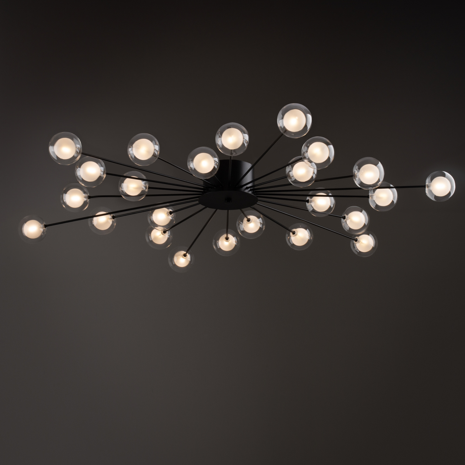 Freya Modern Celebrity Потолочный светильник цвет: черный FR5242CL-24B1