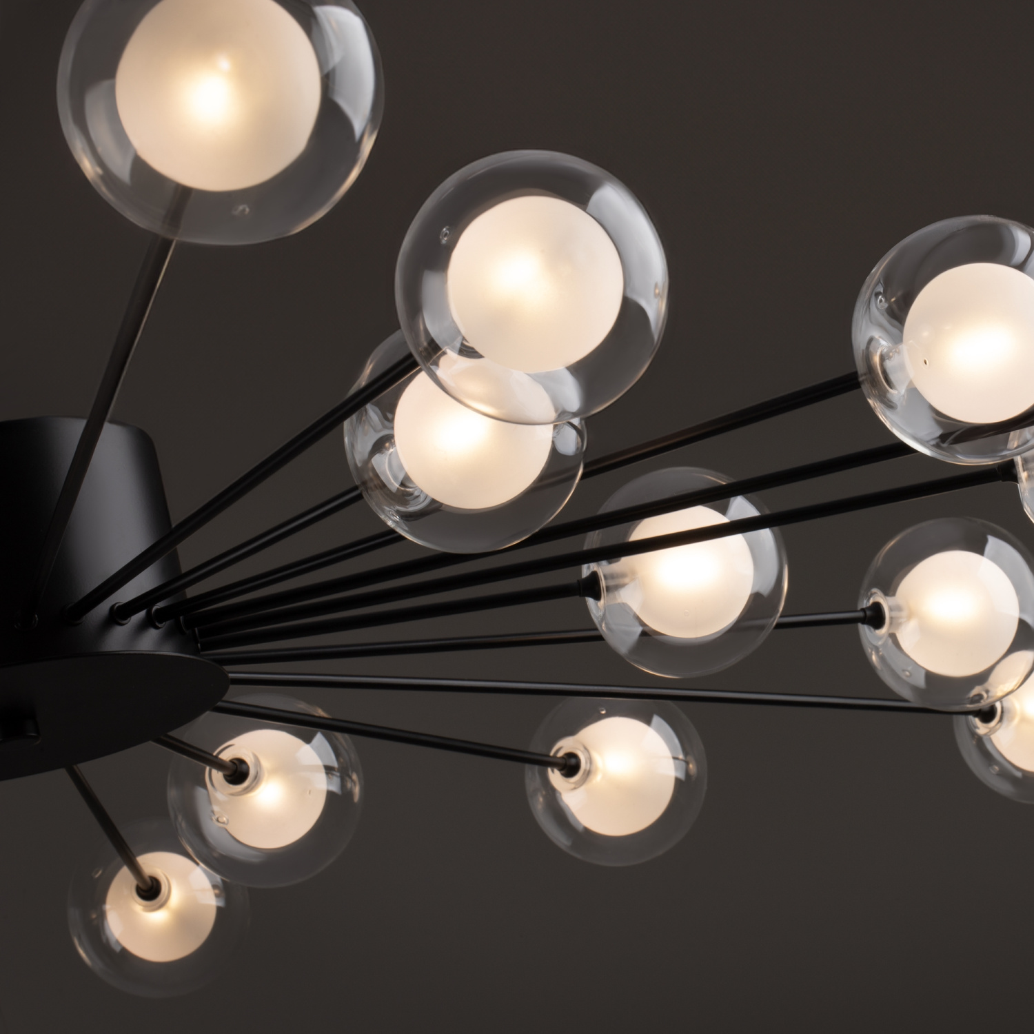 Freya Modern Celebrity Потолочный светильник цвет: черный FR5242CL-24B1