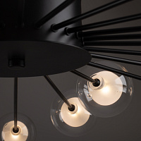 Freya Modern Celebrity Потолочный светильник цвет: черный FR5242CL-24B1