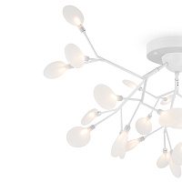 Freya Modern Florencia Потолочный светильник цвет: белый FR5049CL-27W2
