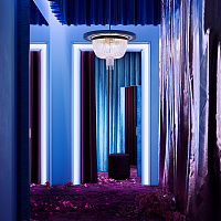 Freya Crystal Ornament Потолочный светильник цвет: латунь FR1008CL-06BS