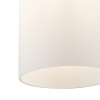 Freya Modern Pitch Подвесной светильник цвет: хром FR5365PL-01CH