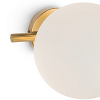 Freya Modern Blossom Настенный светильник (бра) цвет: латунь FR5259WL-01BS