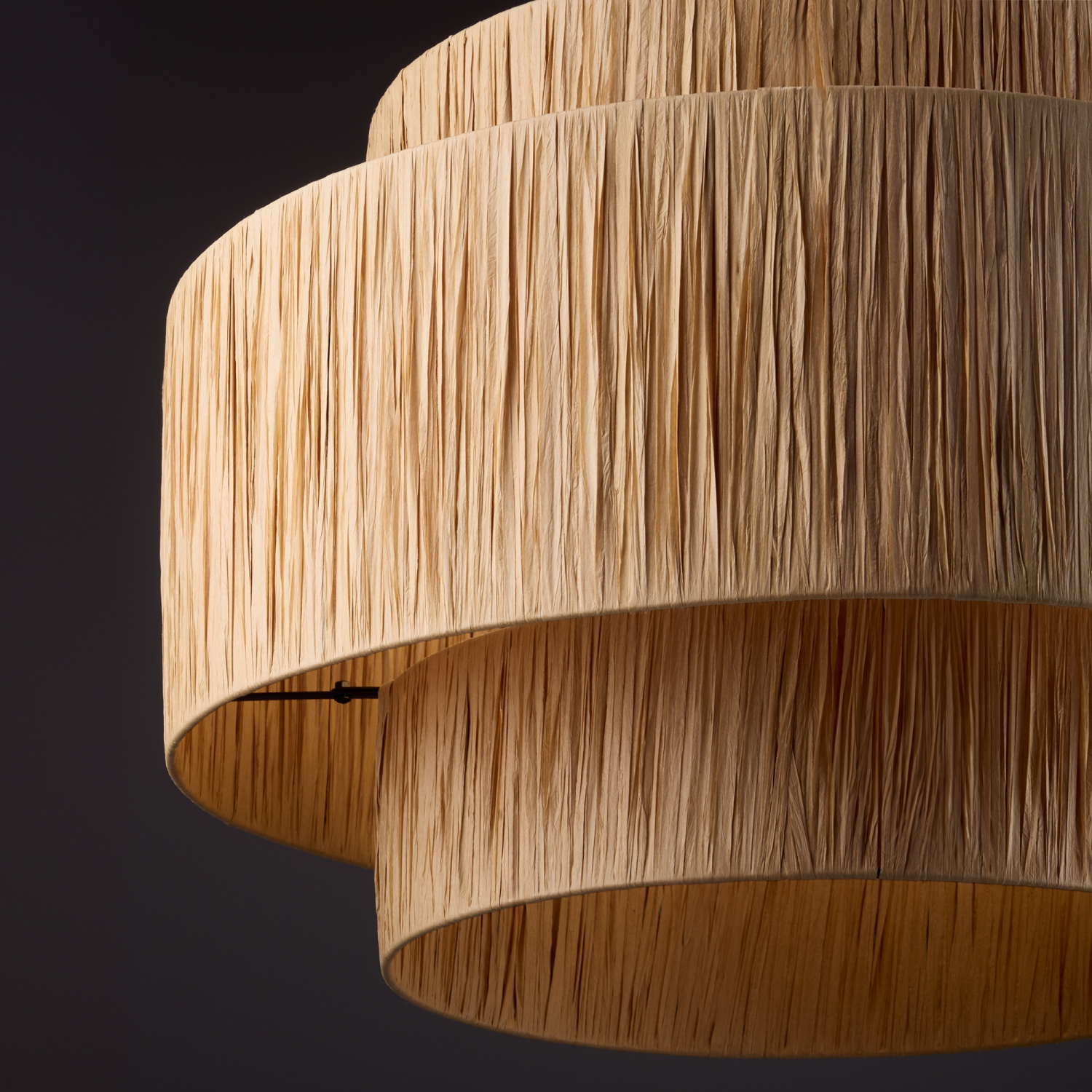 Freya Modern AvaGarden Подвесной светильник цвет: черный FR5249PL-03BG