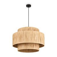 Freya Modern AvaGarden Подвесной светильник цвет: черный FR5249PL-03BG