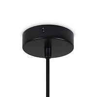 Freya Modern AvaGarden Подвесной светильник цвет: черный FR5249PL-03BG
