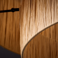 Freya Modern AvaGarden Подвесной светильник цвет: черный FR5249PL-03BG