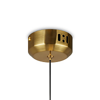 Freya Modern Frisky Подвесной светильник цвет: черный FR5385PL-L17B