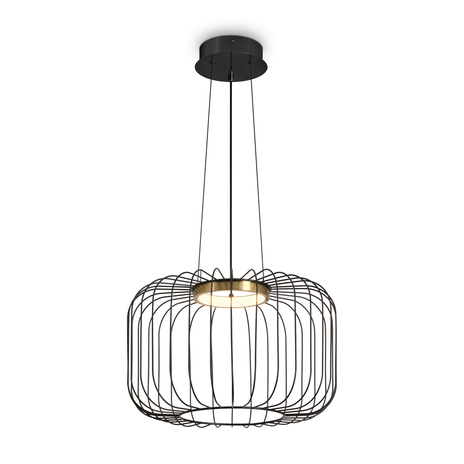 Freya Modern Citrus Подвесной светильник цвет: черный FR5398PL-L8B