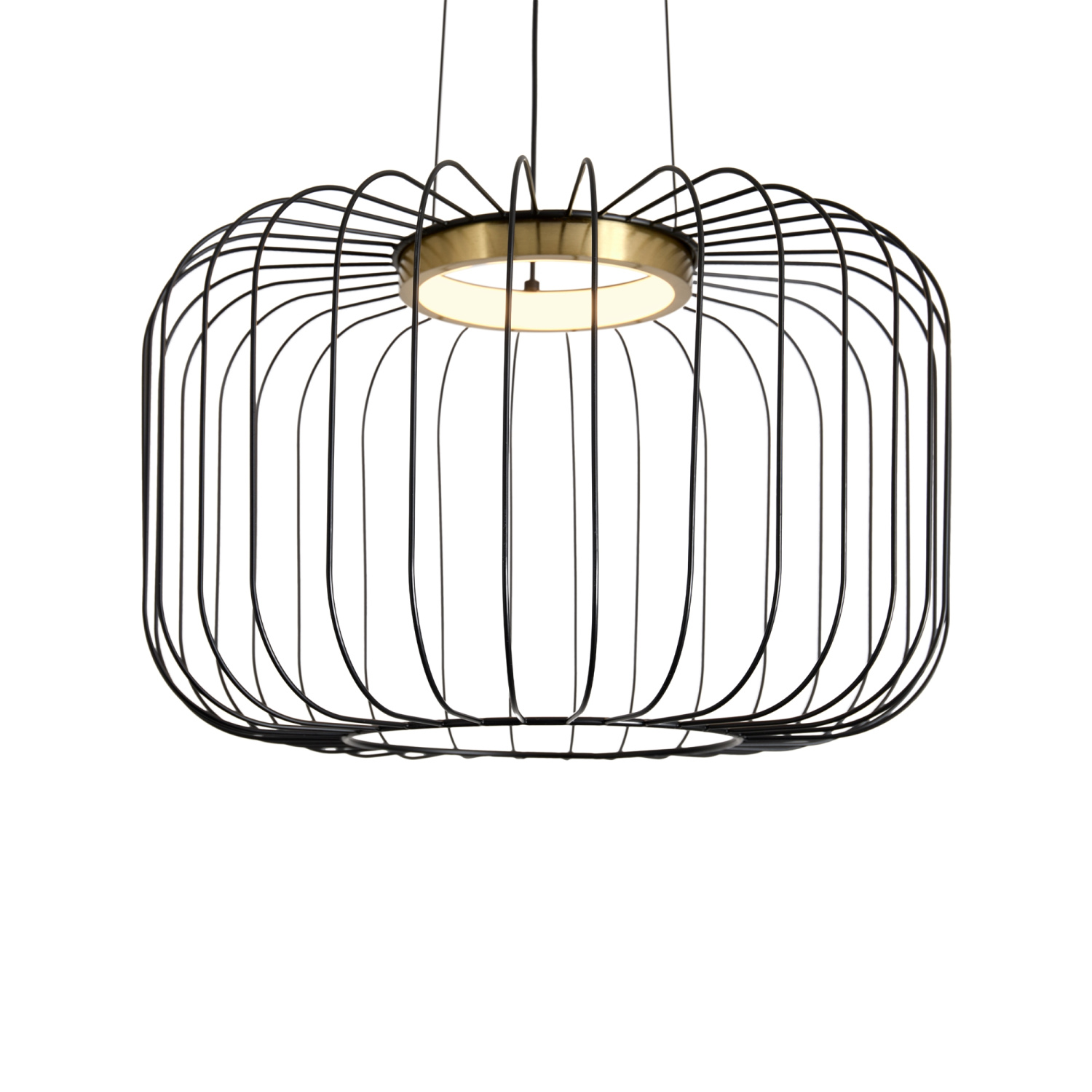 Freya Modern Citrus Подвесной светильник цвет: черный FR5398PL-L8B