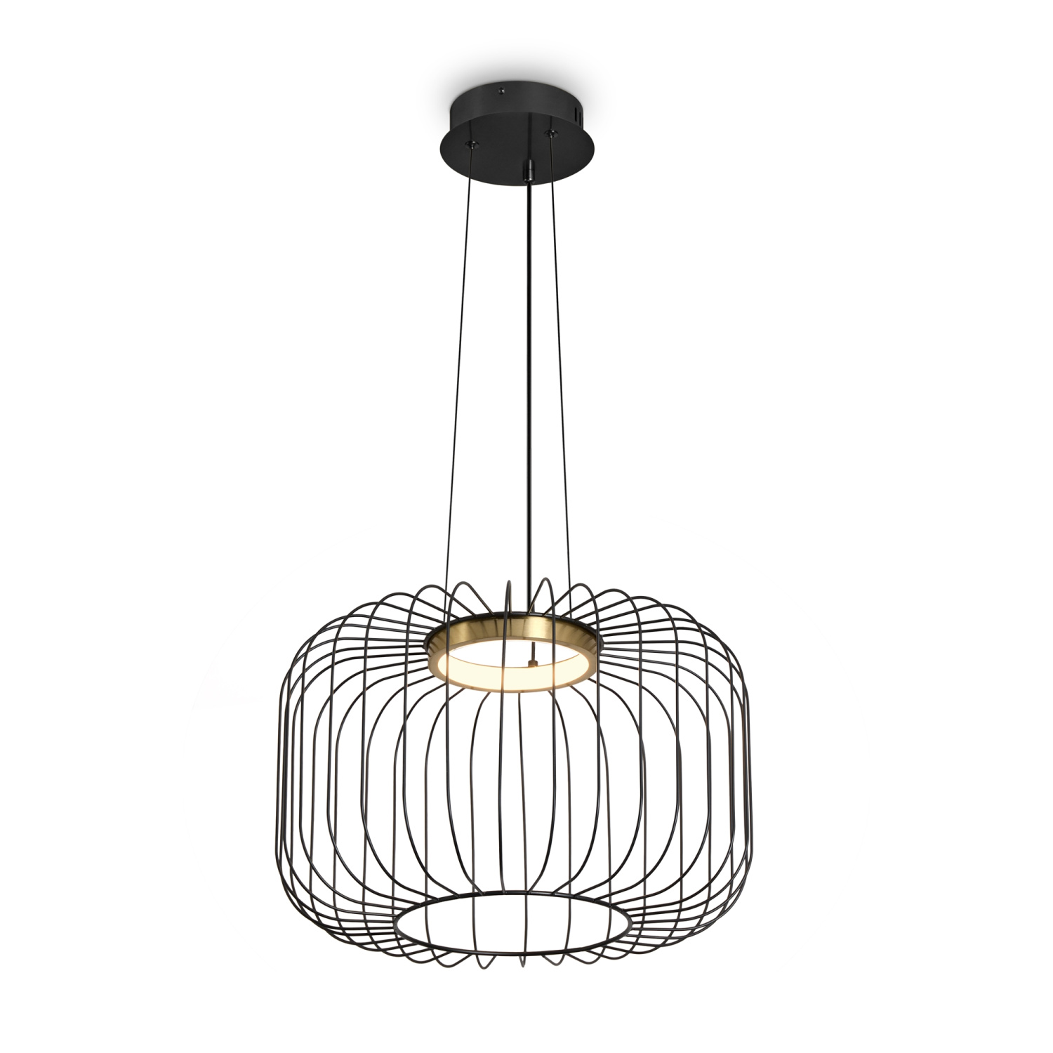 Freya Modern Citrus Подвесной светильник цвет: черный FR5398PL-L8B