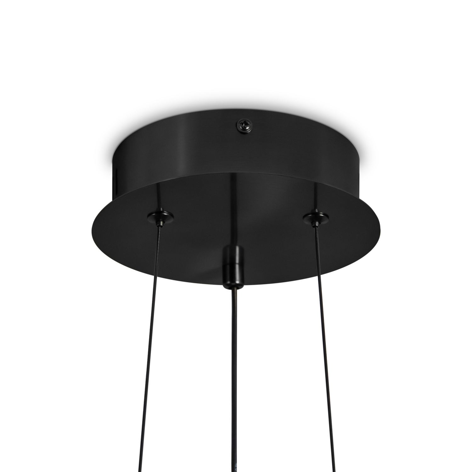 Freya Modern Citrus Подвесной светильник цвет: черный FR5398PL-L8B