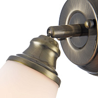 Freya Classic Jasinta Спот цвет: латунь FR2272-WL-01-BS